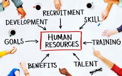 Unlocking the Value of HR: How an Independent HR Consultant Can Transform Your Business