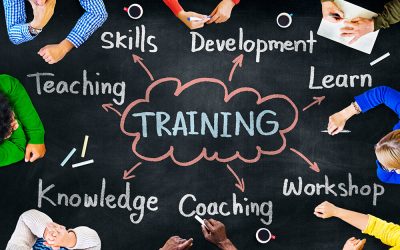 Developing the Best Training and Development Skills to Help Your Business Succeed