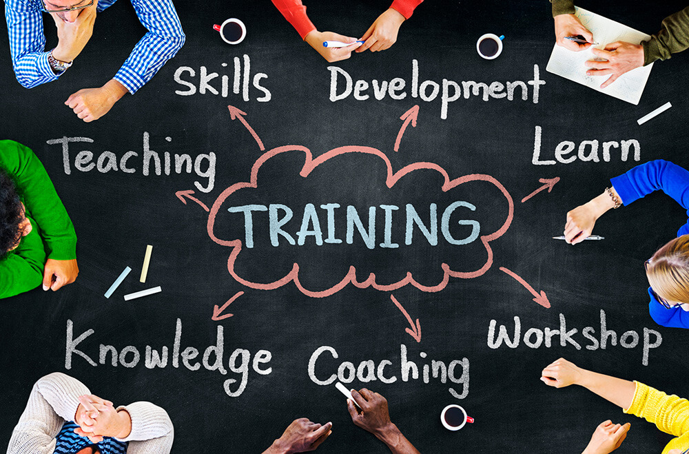 Developing the Best Training and Development Skills to Help Your Business Succeed